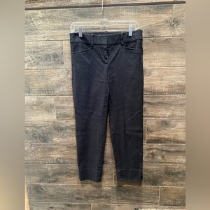 Loft size 2 Marisa Riviera Pant